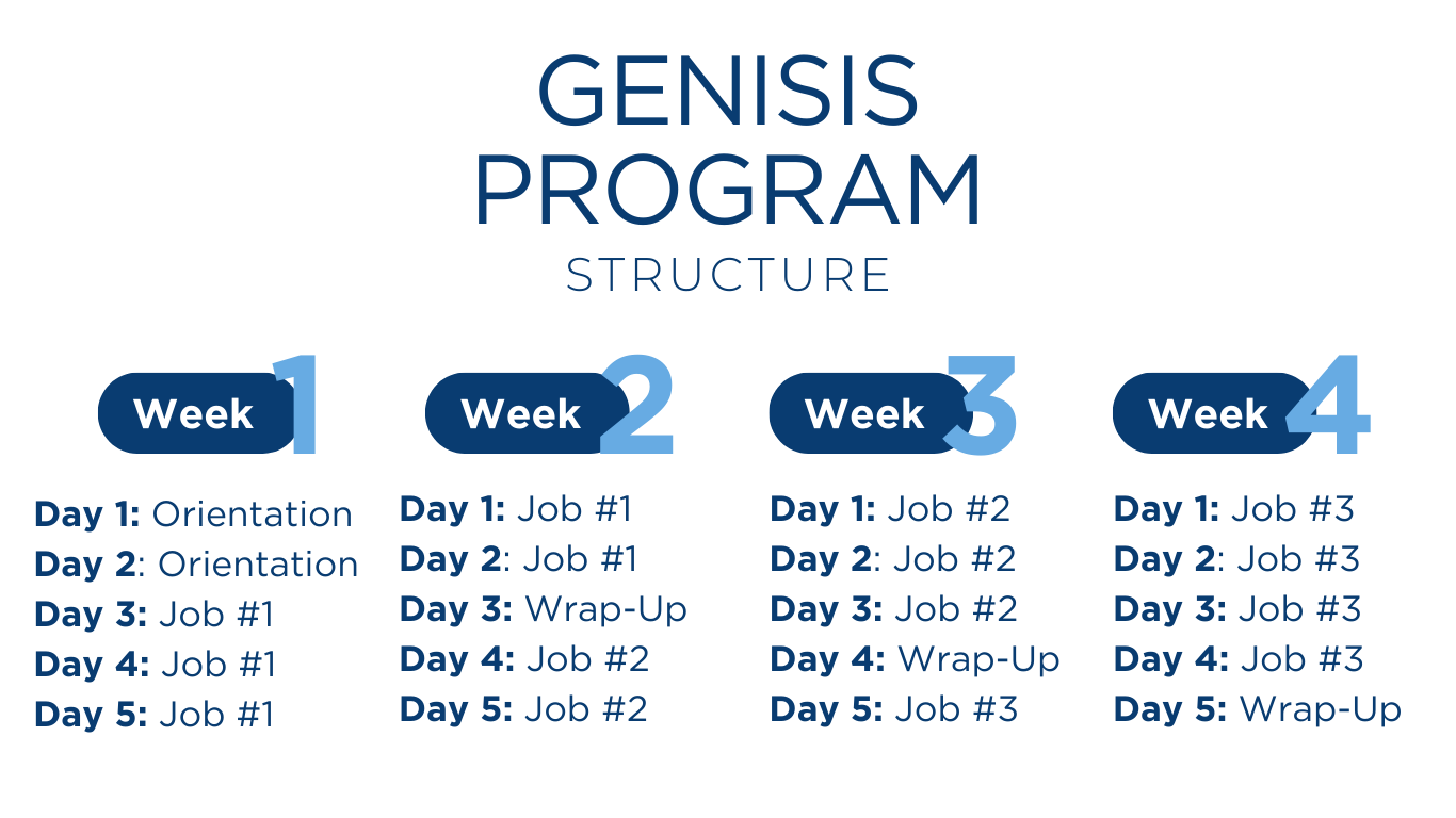 Genesis Program Structure